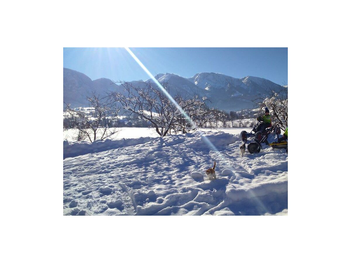 Apartment Ferienwohnung Sonnenblume/3 Schlafräume/Dusche/WC