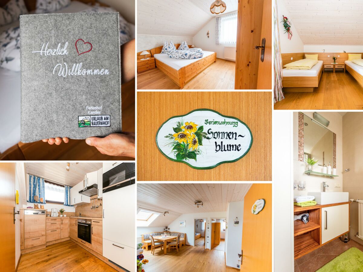 Apartment Ferienwohnung Sonnenblume/3 Schlafräume/Dusche/WC - Outdoor photo 4