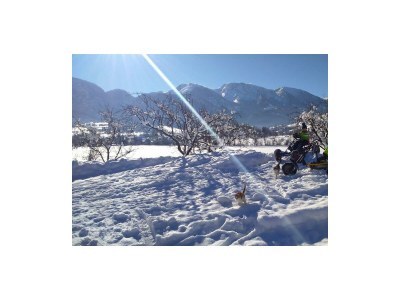 Apartment Ferienwohnung Sonnenblume/3 Schlafräume/Dusche/WC in Roßleithen - Apartment