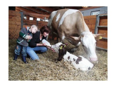 Apartment Ferienwohnung Sonnenblume/3 Schlafräume/Dusche/WC - Outdoor photo 10