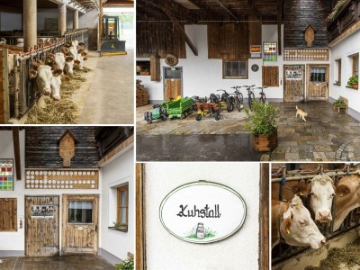 Apartment Ferienwohnung Sonnenblume/3 Schlafräume/Dusche/WC - Outdoor photo 14