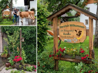 Apartment Ferienwohnung Sonnenblume/3 Schlafräume/Dusche/WC - Outdoor photo 21