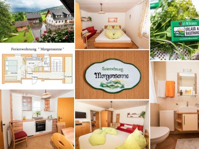 Apartment Ferienwohnung Abendsonne/2 Schlafräume/Dusche/WC - Outdoor photo 6