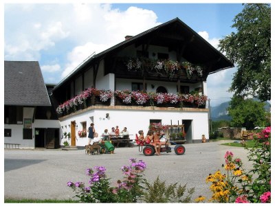 Apartment Ferienwohnung Abendsonne/2 Schlafräume/Dusche/WC - Outdoor photo 7