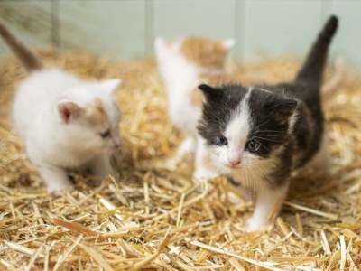 Apartment Ferienwohnung Abendsonne/2 Schlafräume/Dusche/WC - Outdoor photo 11