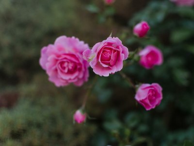 Apartment Ferienwohnung Abendsonne/2 Schlafräume/Dusche/WC - Outdoor photo 12