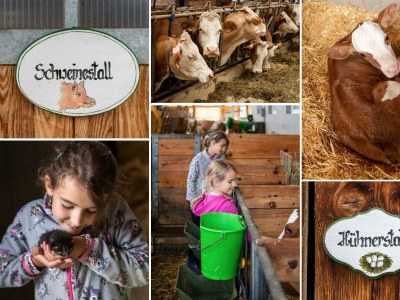 Apartment Ferienwohnung Abendsonne/2 Schlafräume/Dusche/WC - Outdoor photo 13