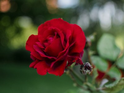 Apartment Ferienwohnung Abendsonne/2 Schlafräume/Dusche/WC - Outdoor photo 18