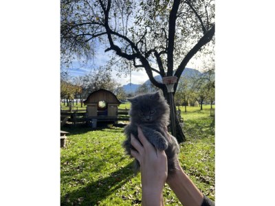 Apartment Ferienwohnung Abendsonne/2 Schlafräume/Dusche/WC - Outdoor photo 29