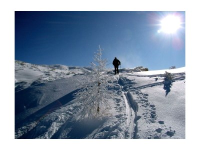 Apartment Ferienwohnung "Priel"/2 Schlafräume/Dusche, WC - Outdoor photo 7