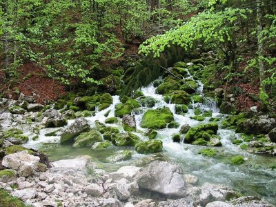 Apartment Ferienwohnung "Priel"/2 Schlafräume/Dusche, WC - Outdoor photo 13