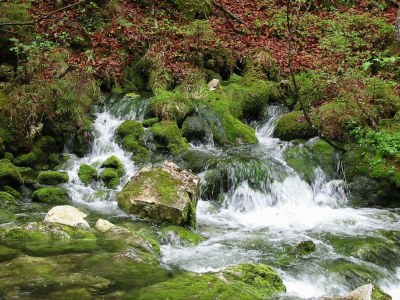 Apartment Ferienwohnung "Priel"/2 Schlafräume/Dusche, WC - Outdoor photo 17