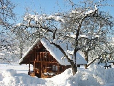 Apartment Ferienwohnung "Priel"/2 Schlafräume/Dusche, WC - Outdoor photo 25