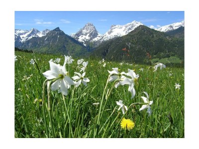 Apartment Appartement Kleiner Priel - Outdoor photo 10