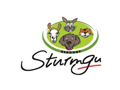 Apartment Appartement Kleiner Priel - Outdoor photo 34