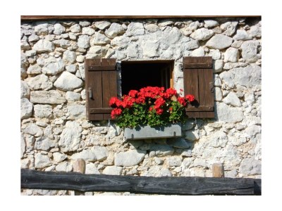 Apartment Ferienhaus/1 Schlafraum/ Dusche, WC - Outdoor photo 16