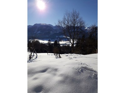 Apartment Ferienhaus/1 Schlafraum/ Dusche, WC - Outdoor photo 20