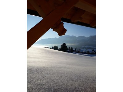 Apartment Ferienhaus/1 Schlafraum/ Dusche, WC - Outdoor photo 22