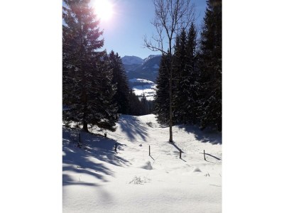 Apartment Ferienhaus/1 Schlafraum/ Dusche, WC - Outdoor photo 23