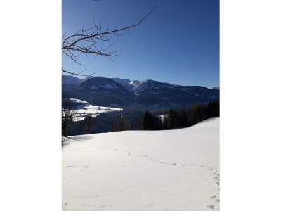 Apartment Ferienhaus/1 Schlafraum/ Dusche, WC - Outdoor photo 29