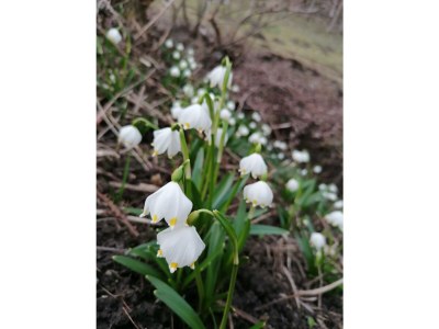 Apartment FEWO II "Abendsun'/2 Schlafräume/DU,WC - Outdoor photo 3