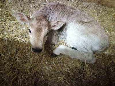 Apartment FEWO II "Abendsun'/2 Schlafräume/DU,WC - Outdoor photo 13