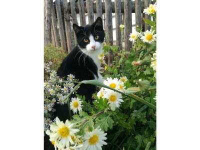 Apartment FEWO II "Abendsun'/2 Schlafräume/DU,WC - Outdoor photo 17