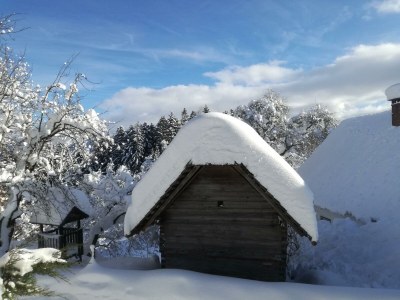 Apartment FEWO II "Abendsun'/2 Schlafräume/DU,WC - Outdoor photo 25