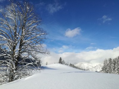 Apartment FEWO II "Abendsun'/2 Schlafräume/DU,WC - Outdoor photo 28