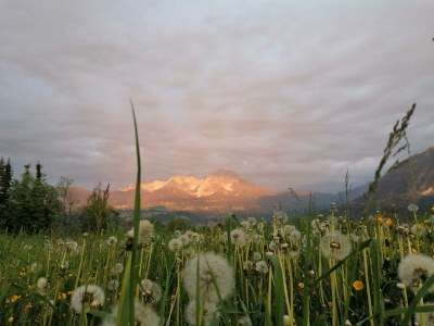 Apartment FEWO II "Abendsun'/2 Schlafräume/DU,WC - Outdoor photo 30