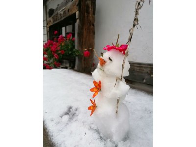 Apartment FEWO II "Abendsun'/2 Schlafräume/DU,WC - Outdoor photo 50