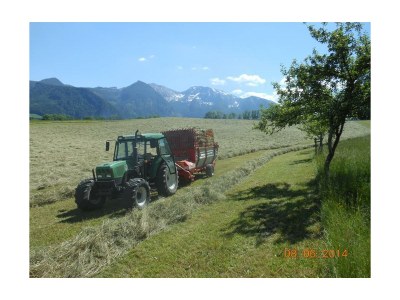 Apartment FEWO II "Abendsun'/2 Schlafräume/DU,WC - Outdoor photo 62