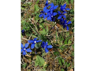 Apartment FEWO II "Abendsun'/2 Schlafräume/DU,WC - Outdoor photo 68