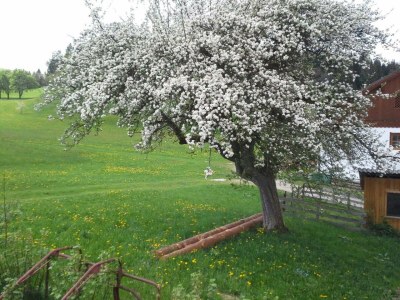 Apartment FEWO I "Morgenrot"/2 Schlafräume/Du/WC - Outdoor photo 8