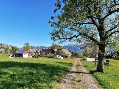 Apartment FEWO I "Morgenrot"/2 Schlafräume/Du/WC - Outdoor photo 15