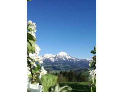 Apartment FEWO I "Morgenrot"/2 Schlafräume/Du/WC - Outdoor photo 16