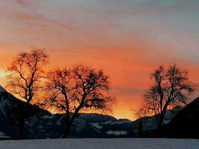 Apartment FEWO I "Morgenrot"/2 Schlafräume/Du/WC - Outdoor photo 31