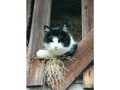 Apartment FEWO I "Morgenrot"/2 Schlafräume/Du/WC - Outdoor photo 35