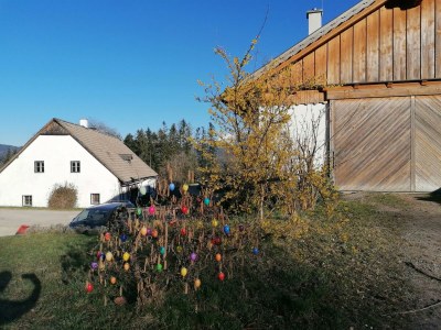 Apartment FEWO I "Morgenrot"/2 Schlafräume/Du/WC - Outdoor photo 38