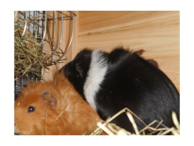 Apartment FEWO I "Morgenrot"/2 Schlafräume/Du/WC - Outdoor photo 43