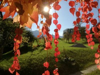 Apartment FEWO I "Morgenrot"/2 Schlafräume/Du/WC - Outdoor photo 49