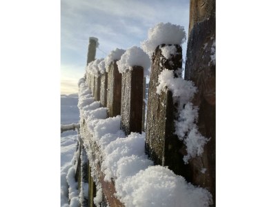 Apartment FEWO I "Morgenrot"/2 Schlafräume/Du/WC - Outdoor photo 60