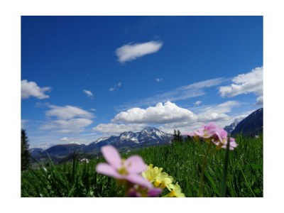 Apartment FEWO I "Morgenrot"/2 Schlafräume/Du/WC - Outdoor photo 68