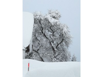 Apartment FEWO I "Morgenrot"/2 Schlafräume/Du/WC - Outdoor photo 71