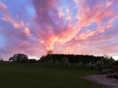 Apartment FEWO I "Morgenrot"/2 Schlafräume/Du/WC - Outdoor photo 72