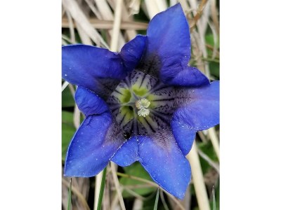 Apartment FEWO "Blumenwiese"/2 Schlafräume/DU/WC - Outdoor photo 30