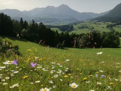 Apartment FEWO "Blumenwiese"/2 Schlafräume/DU/WC - Outdoor photo 31