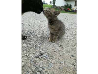 Apartment FEWO "Blumenwiese"/2 Schlafräume/DU/WC - Outdoor photo 32