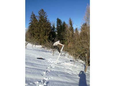 Apartment FEWO "Blumenwiese"/2 Schlafräume/DU/WC - Outdoor photo 38