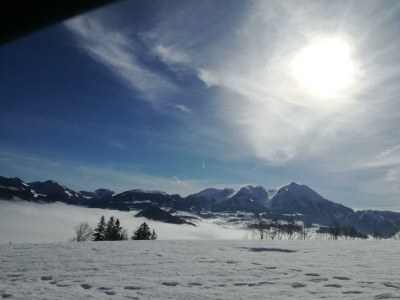 Apartment FEWO "Blumenwiese"/2 Schlafräume/DU/WC - Outdoor photo 41